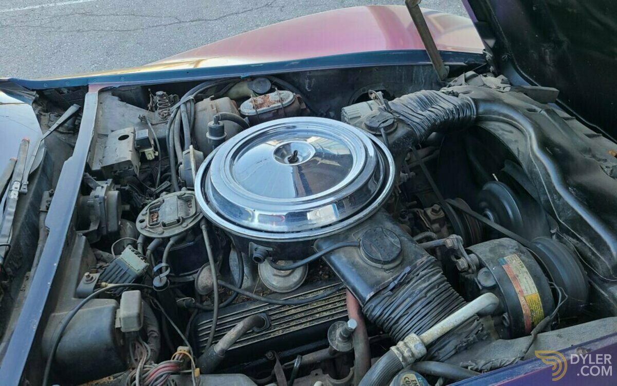 1981 Chevrolet Corvette, foto 5