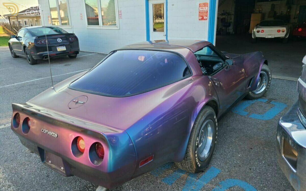 1981 Chevrolet Corvette, foto 7