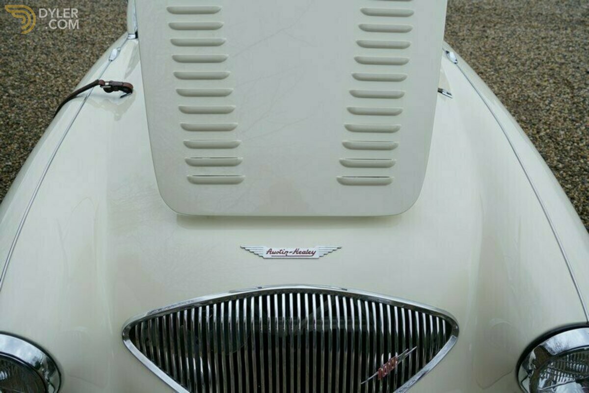 1955 Austin-Healey 100, foto 4