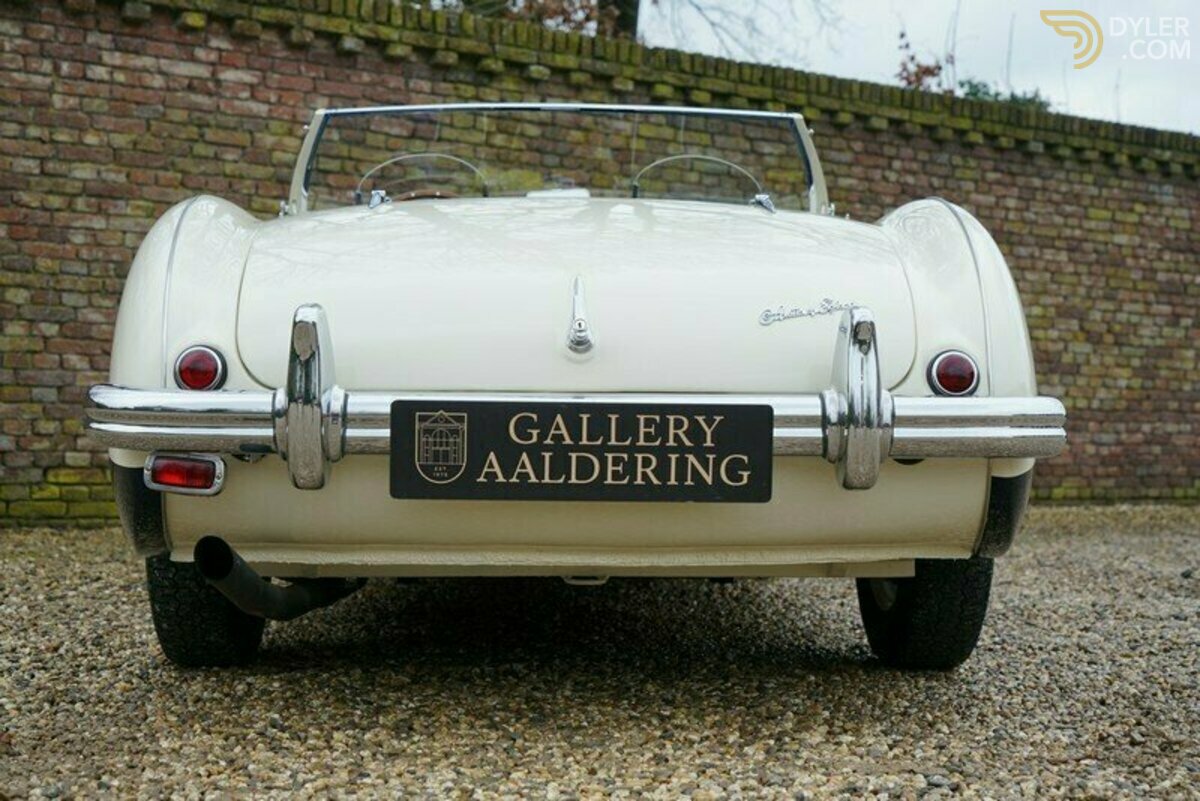 1955 Austin-Healey 100, foto 8