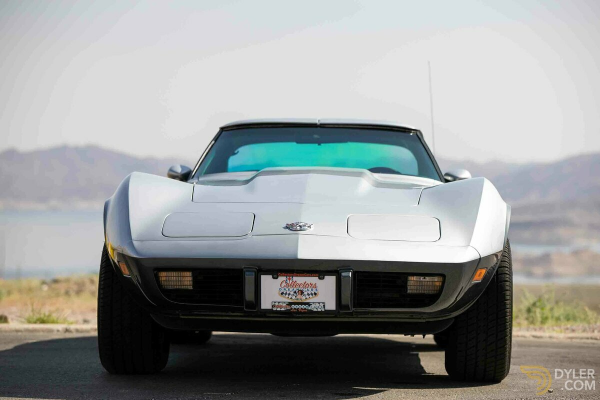 1978 Chevrolet Corvette Stingray, foto 2