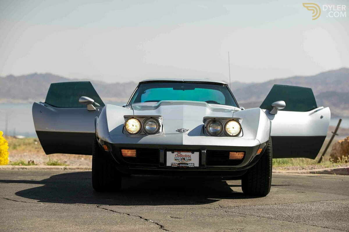 1978 Chevrolet Corvette Stingray, foto 8