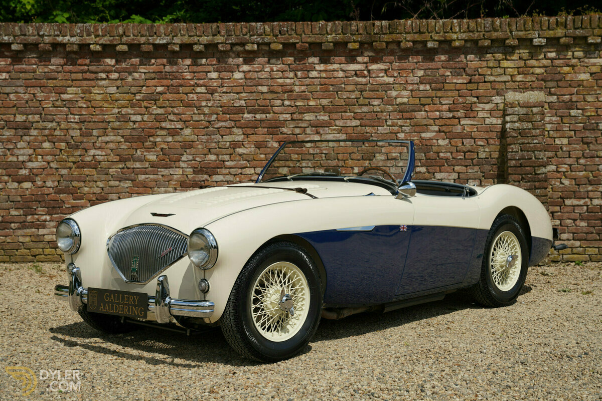 1954 Austin-Healey 100 M Specification, foto 1