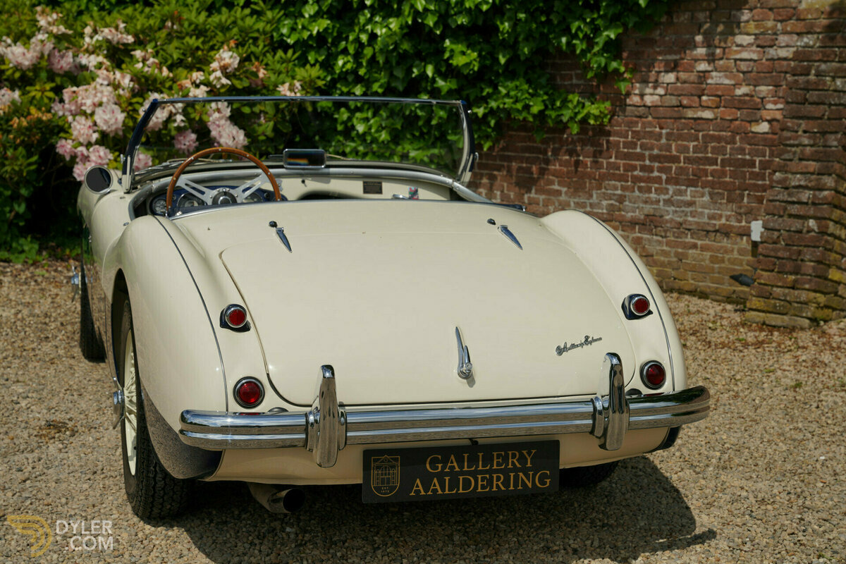 1954 Austin-Healey 100 M Specification, foto 6