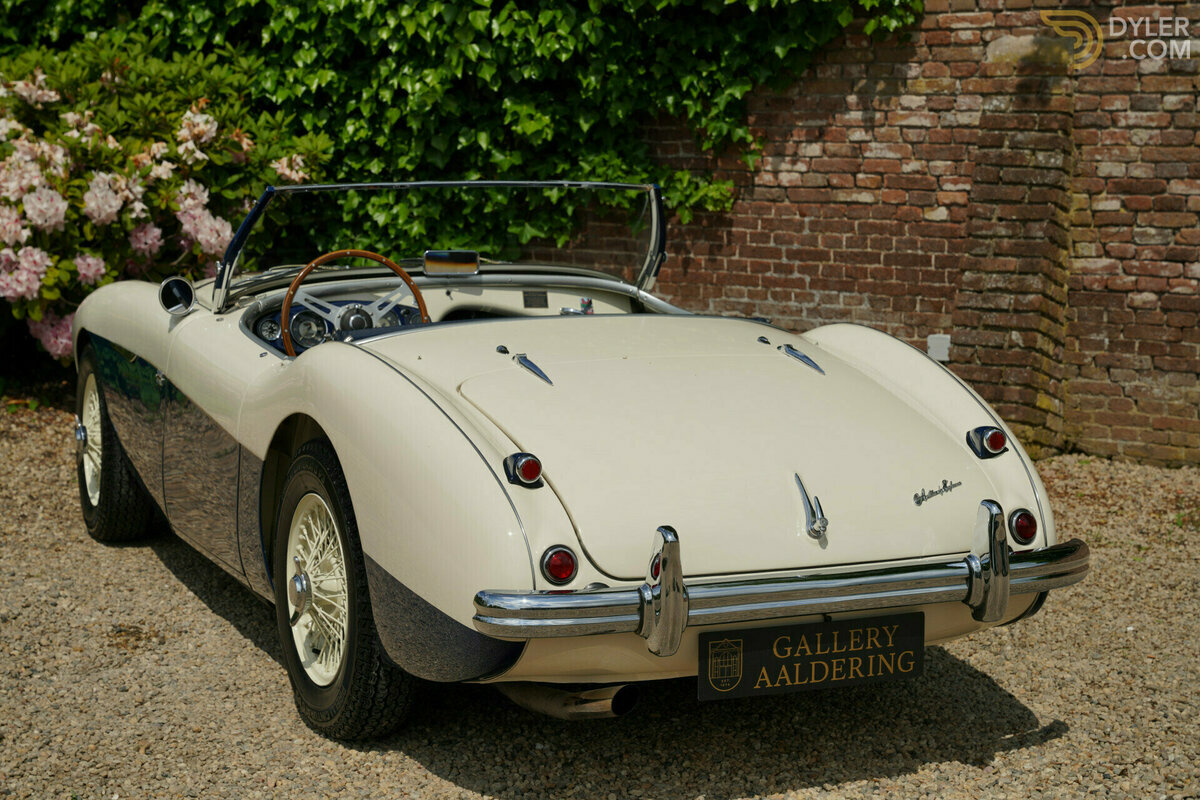 1954 Austin-Healey 100 M Specification, foto 8