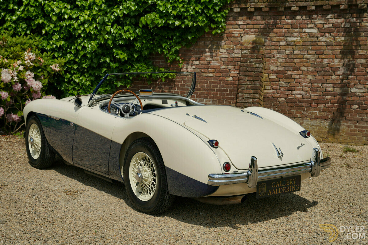 1954 Austin-Healey 100 M Specification, foto 9