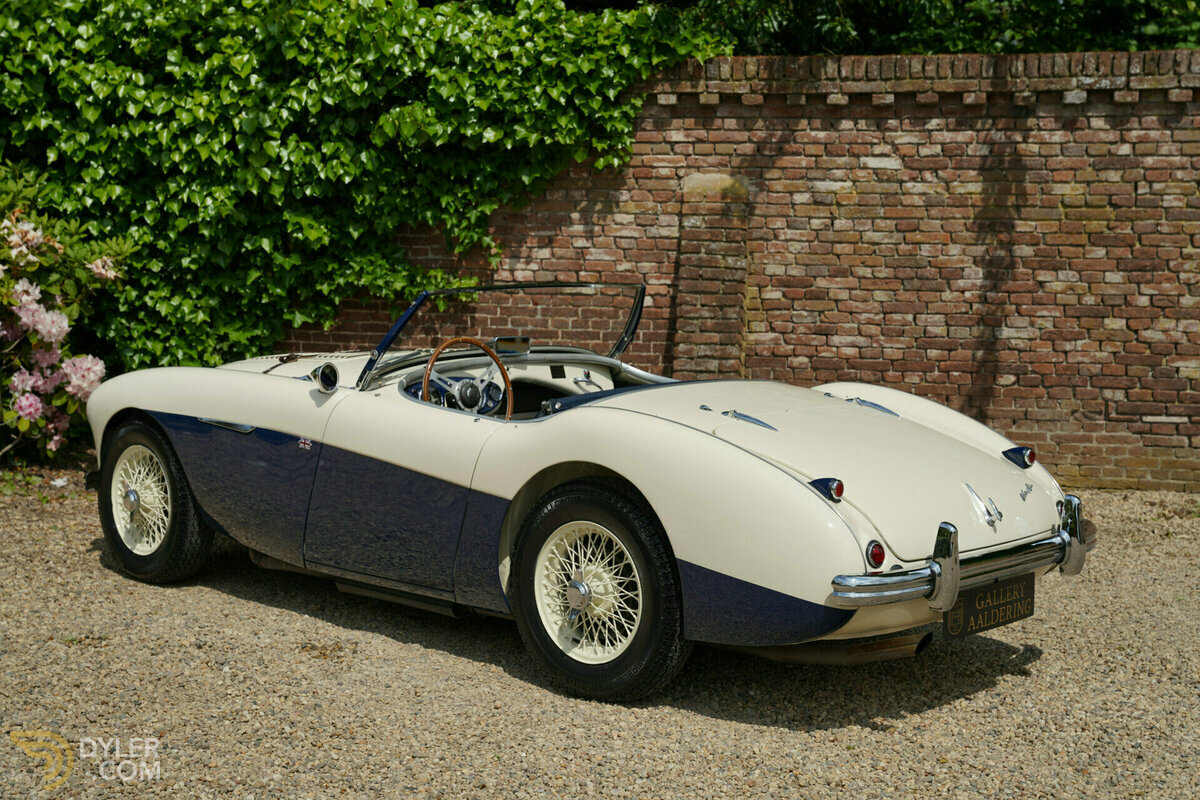 1954 Austin-Healey 100 M Specification, foto 10