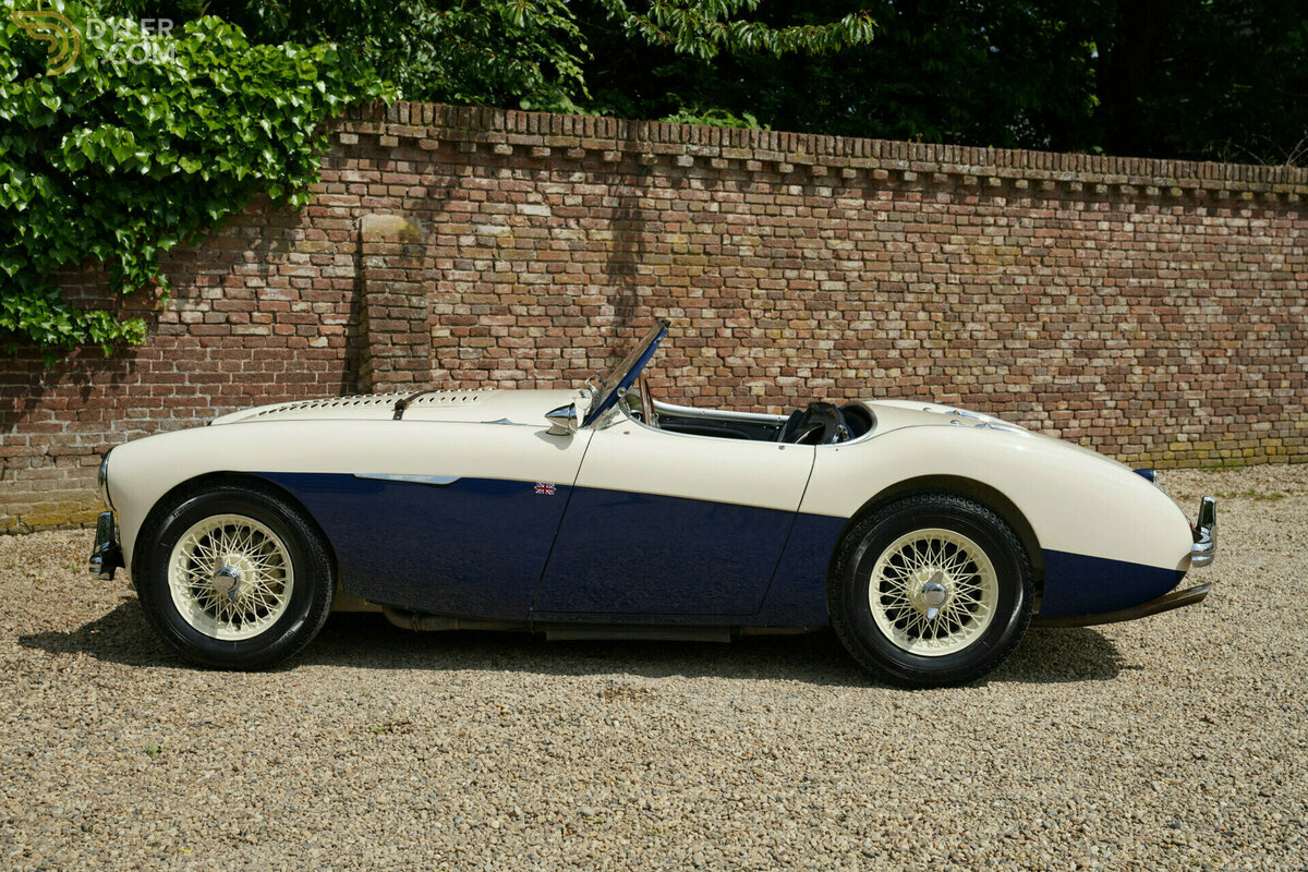 1954 Austin-Healey 100 M Specification, foto 11