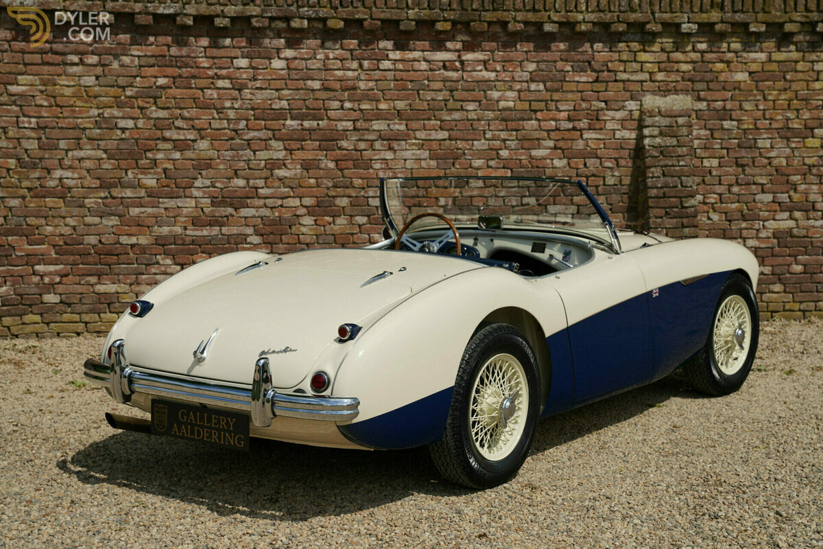 1954 Austin-Healey 100 M Specification, foto 12