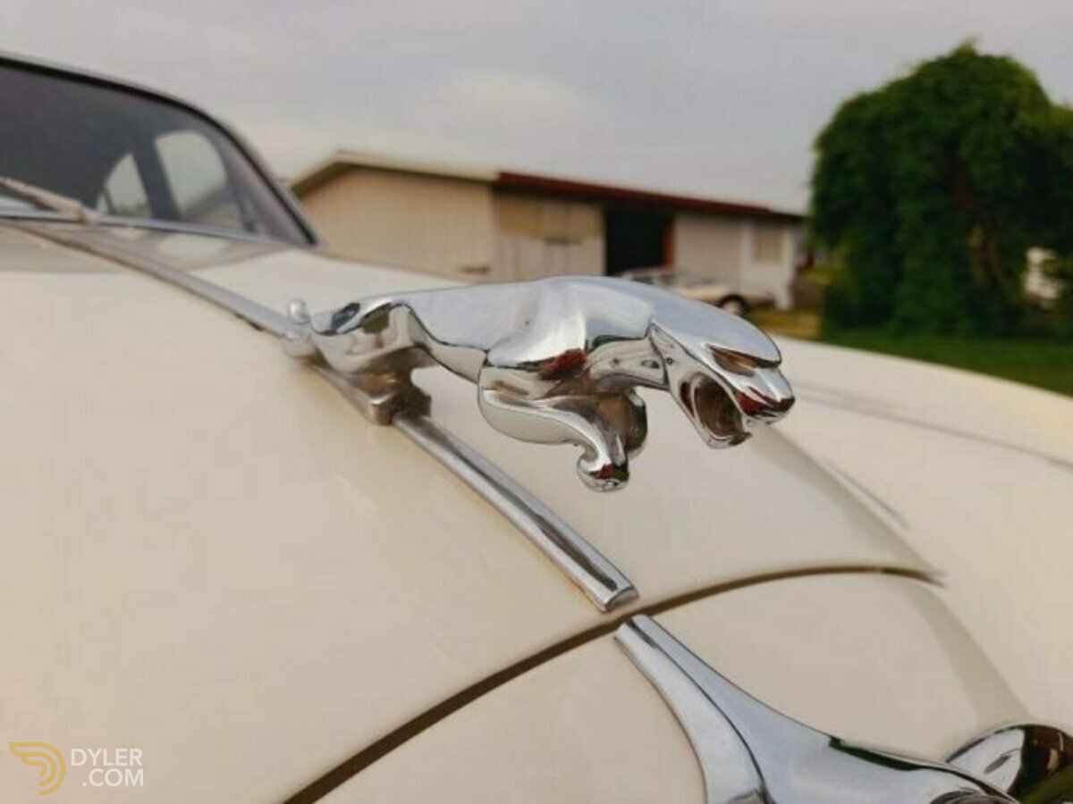 1968 Jaguar MK II targhe italiane VALUTO PERMUTE sensate, foto 6