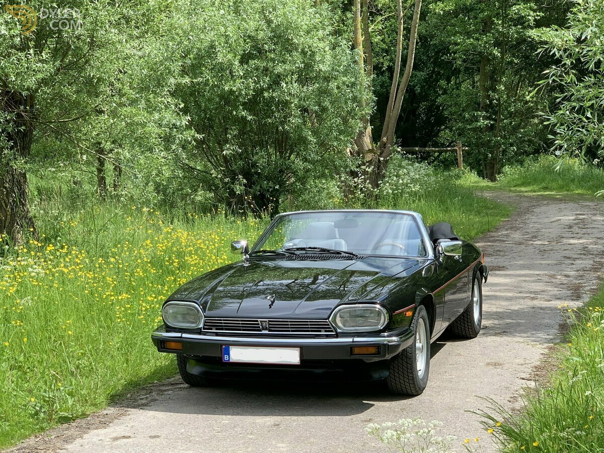 1990 Jaguar XJS 5.3 V12 convertible, foto 7