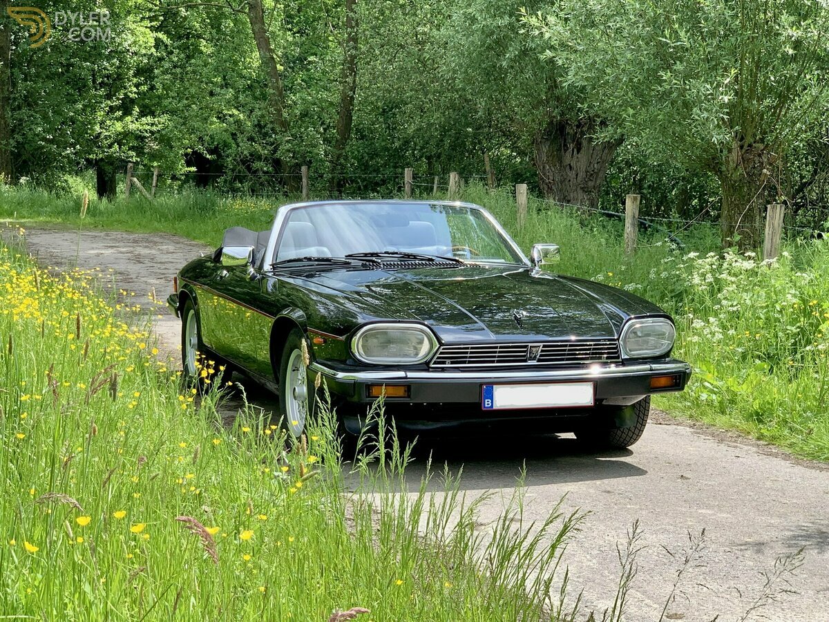 1990 Jaguar XJS 5.3 V12 convertible, foto 8