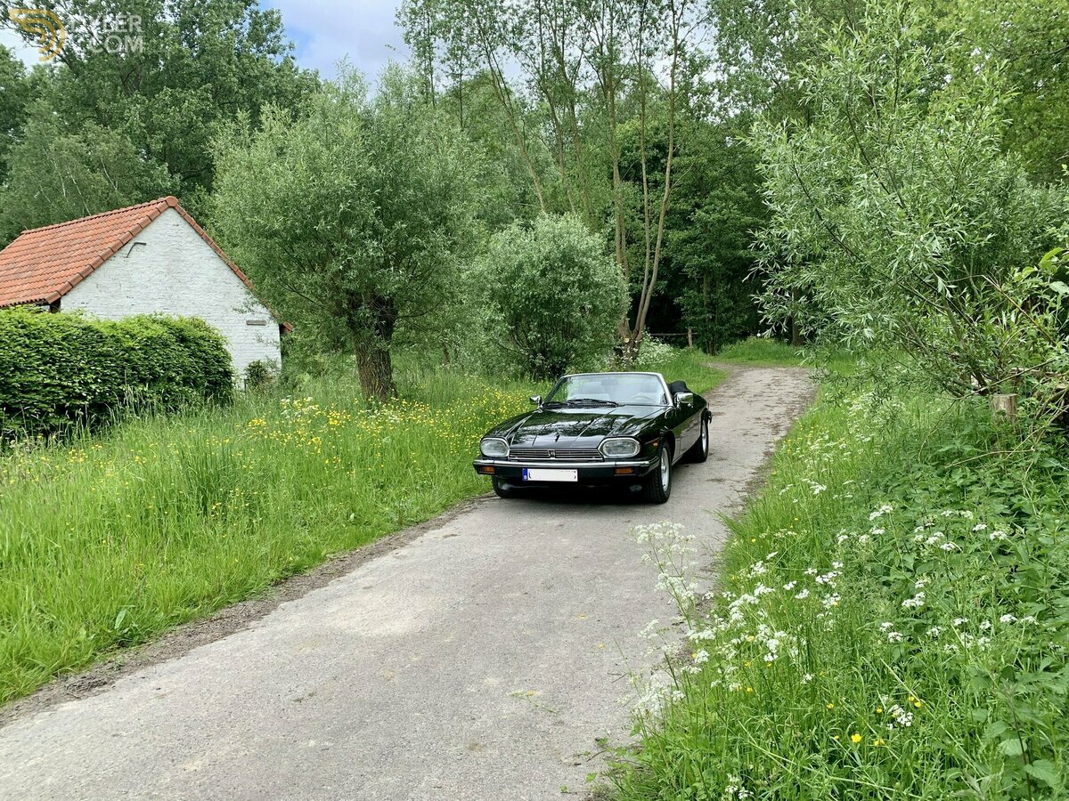 1990 Jaguar XJS 5.3 V12 convertible, foto 10
