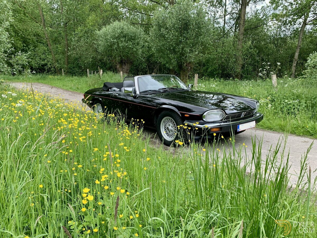 1990 Jaguar XJS 5.3 V12 convertible, foto 11