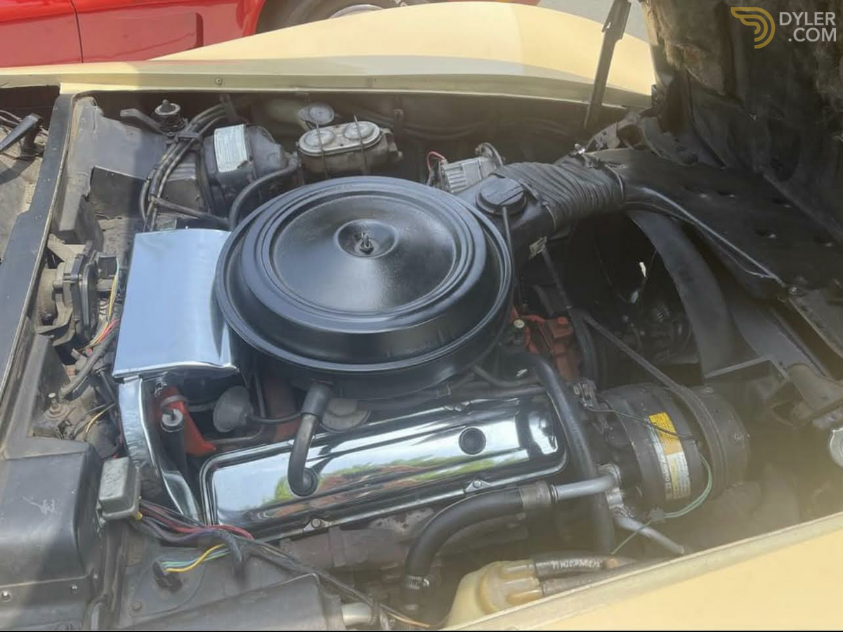 1976 Chevrolet Corvette C3, foto 1