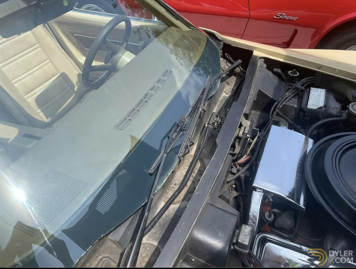 1976 Chevrolet Corvette C3, foto 2