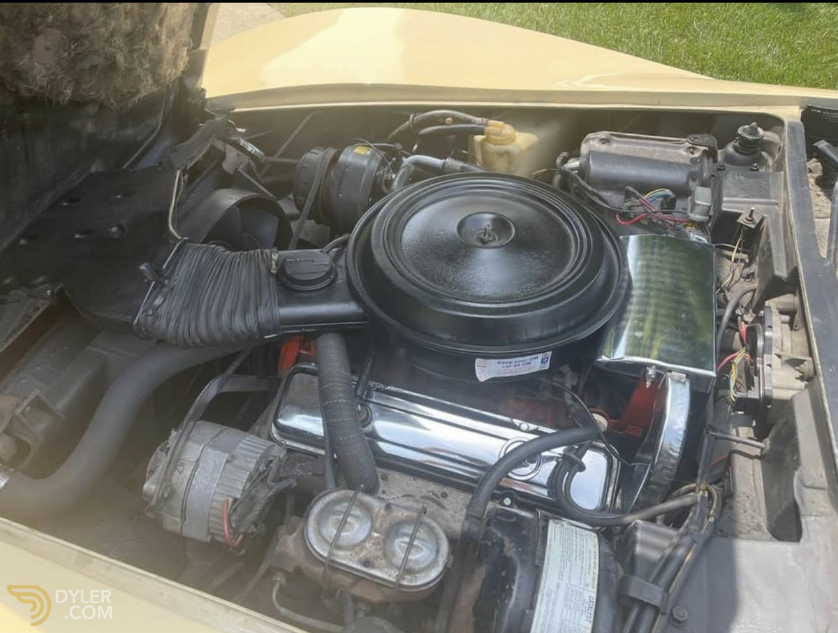 1976 Chevrolet Corvette C3, foto 3