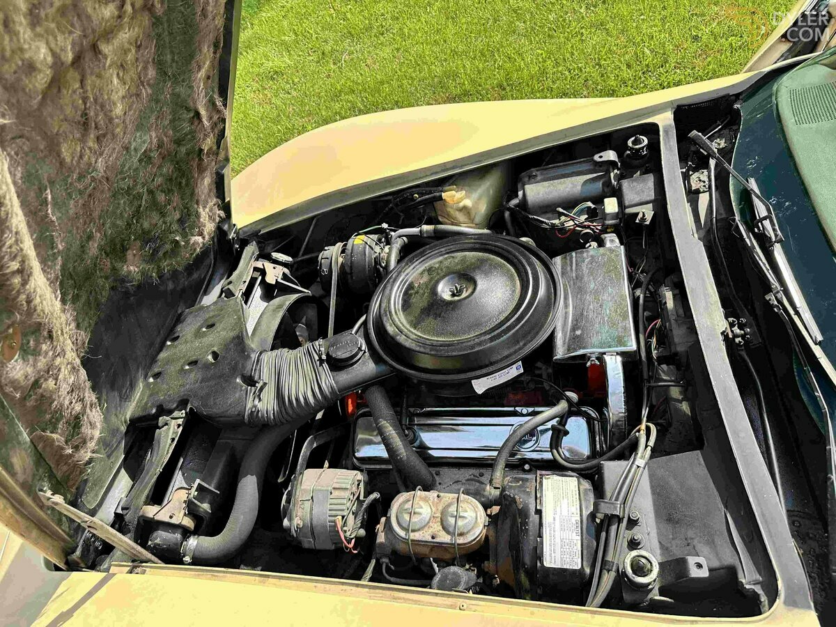 1976 Chevrolet Corvette C3, foto 9
