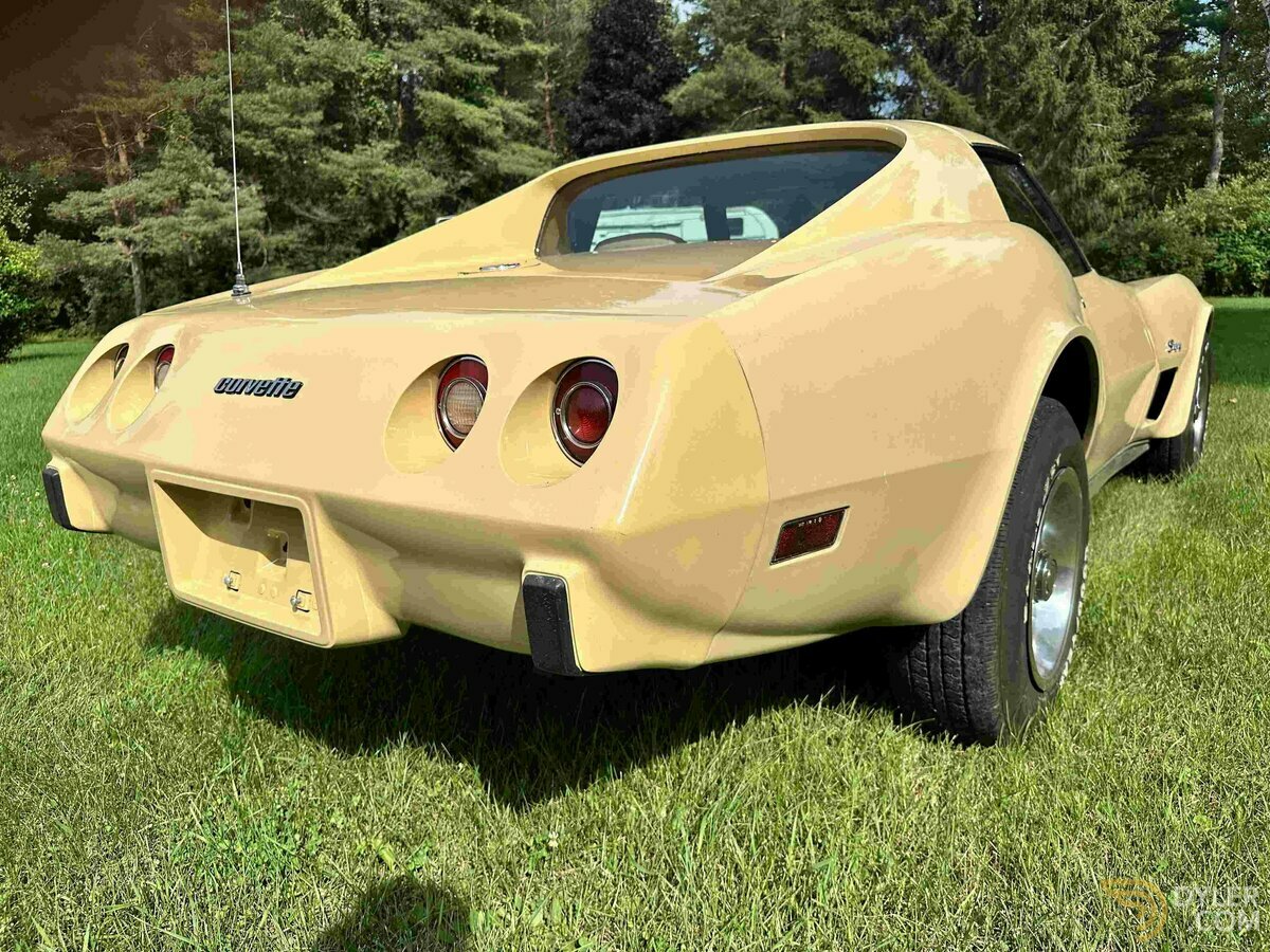 1976 Chevrolet Corvette C3, foto 8
