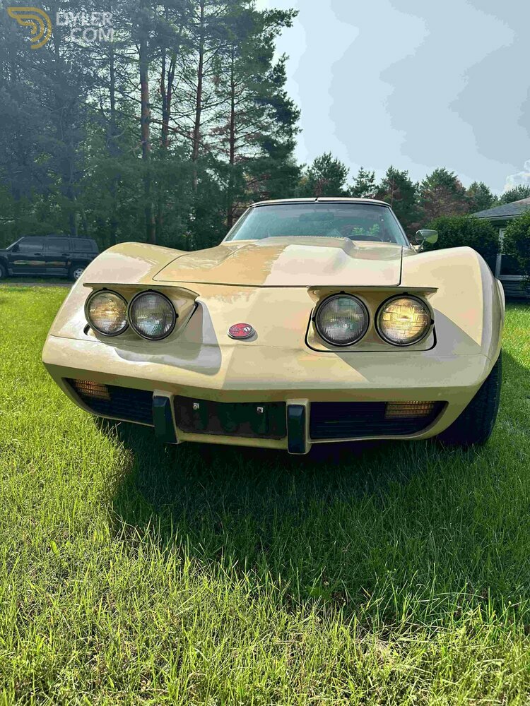 1976 Chevrolet Corvette C3, foto 10