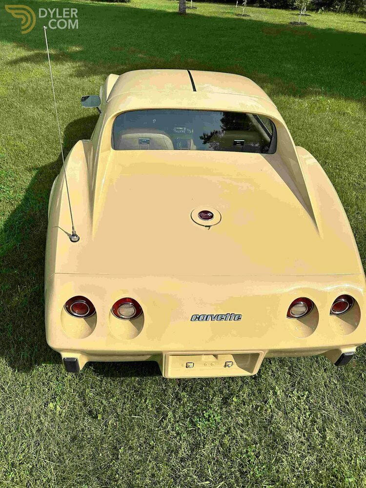 1976 Chevrolet Corvette C3, foto 7