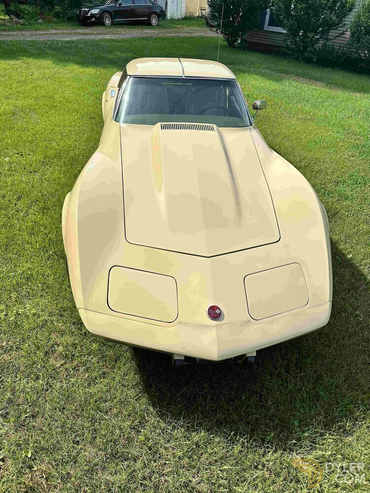 1976 Chevrolet Corvette C3, foto 3