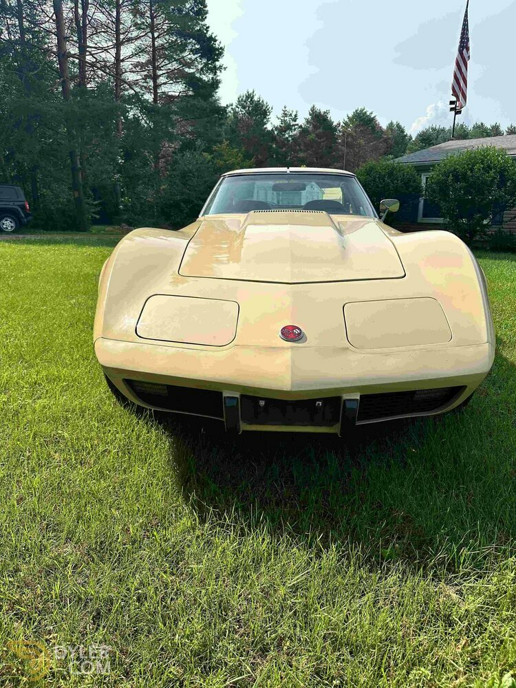 1976 Chevrolet Corvette C3, foto 4