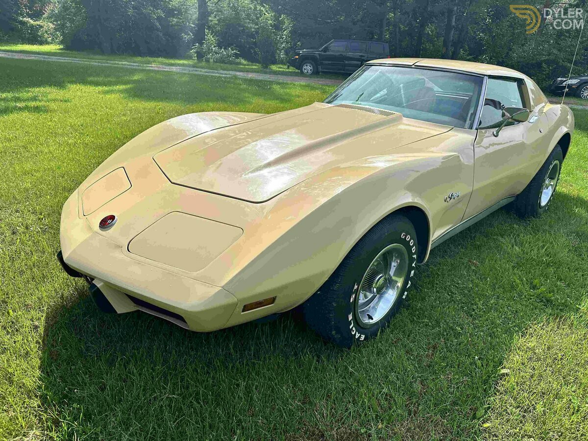 1976 Chevrolet Corvette C3, foto 2