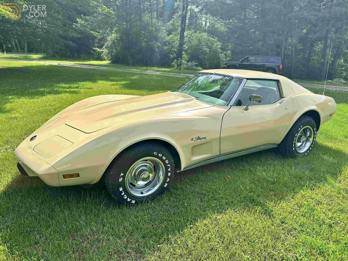 1976 Chevrolet Corvette C3, foto 1