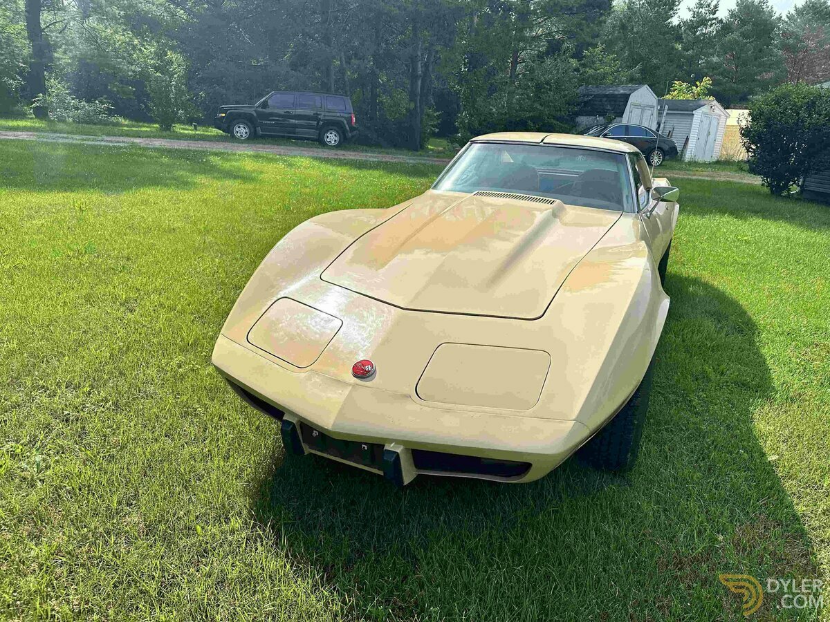 1976 Chevrolet Corvette C3, foto 5
