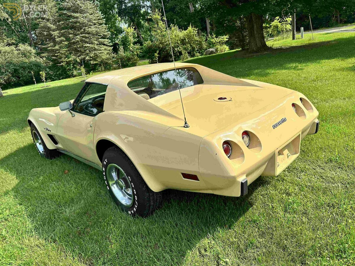 1976 Chevrolet Corvette C3, foto 6