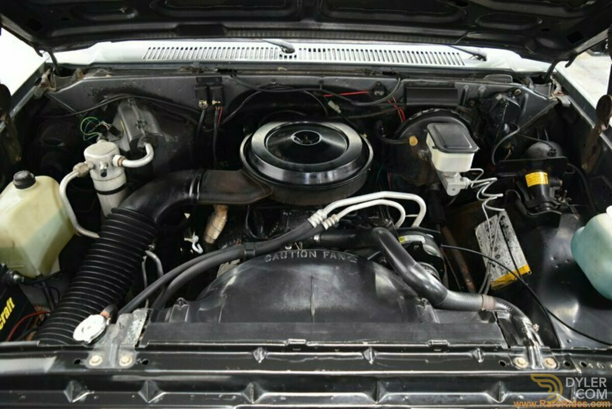 1987 Chevrolet R10 Custom Deluxe, foto 5