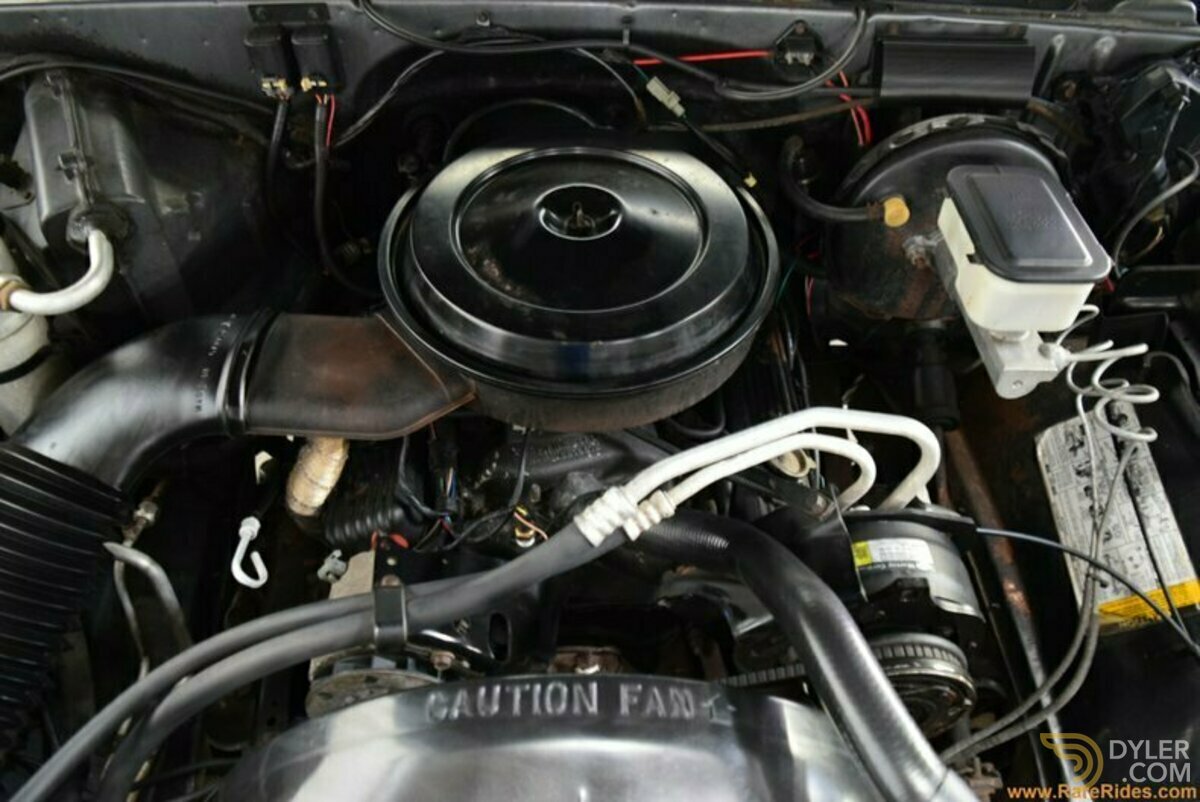 1987 Chevrolet R10 Custom Deluxe, foto 11