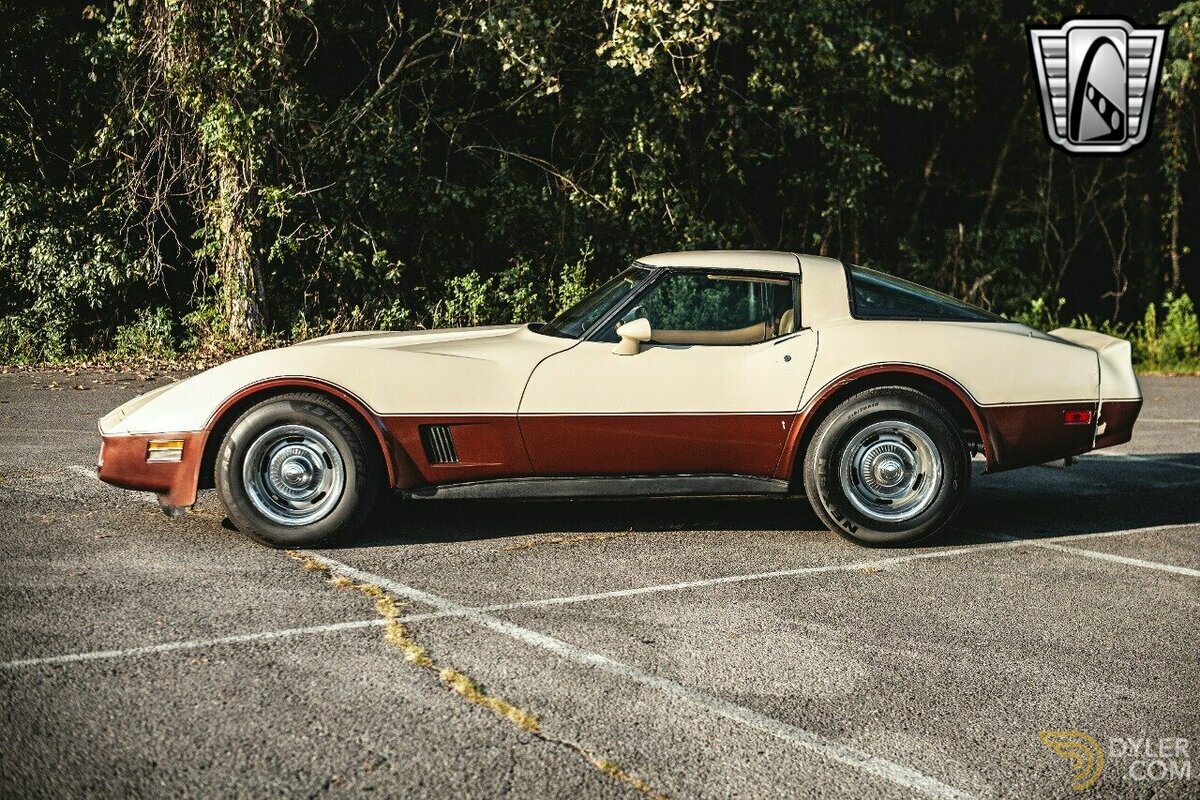 1981 Chevrolet Corvette, foto 3