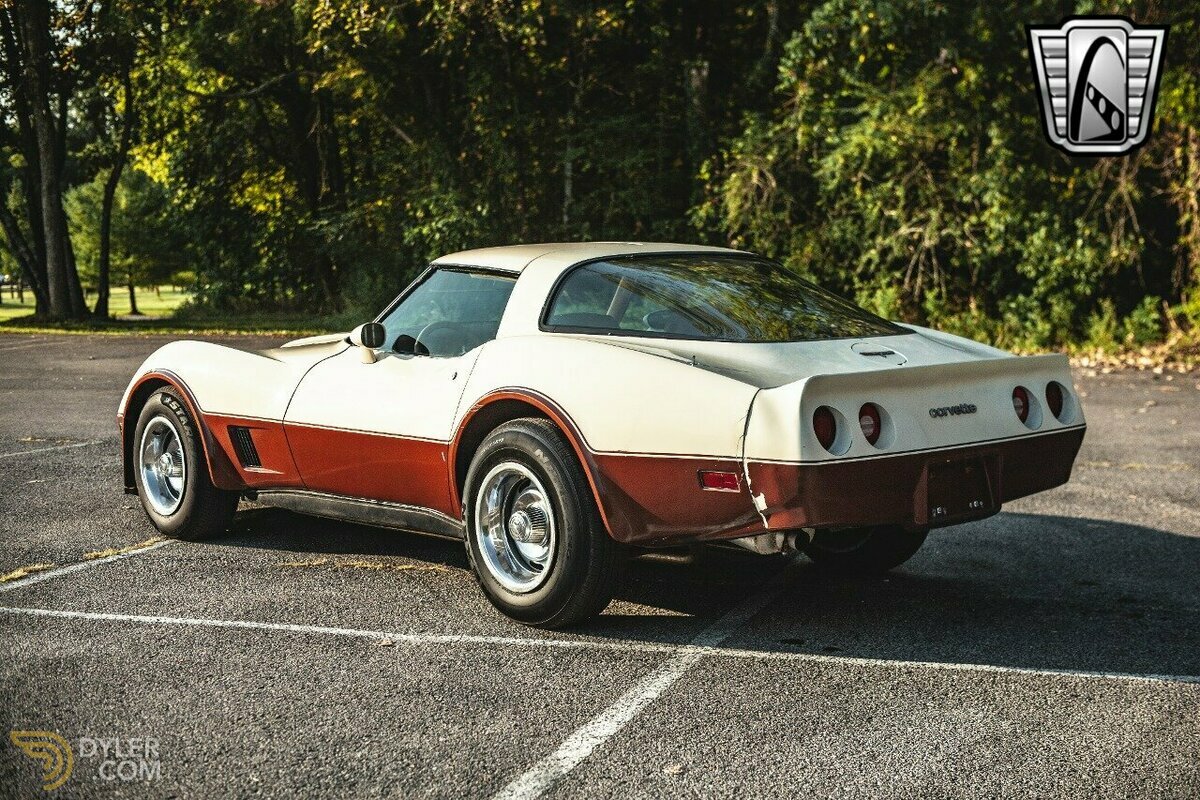 1981 Chevrolet Corvette, foto 4
