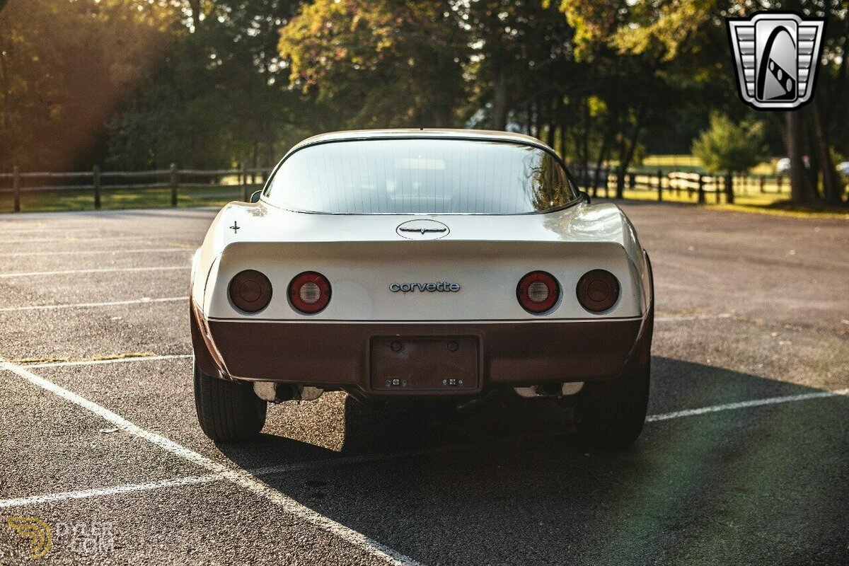 1981 Chevrolet Corvette, foto 5
