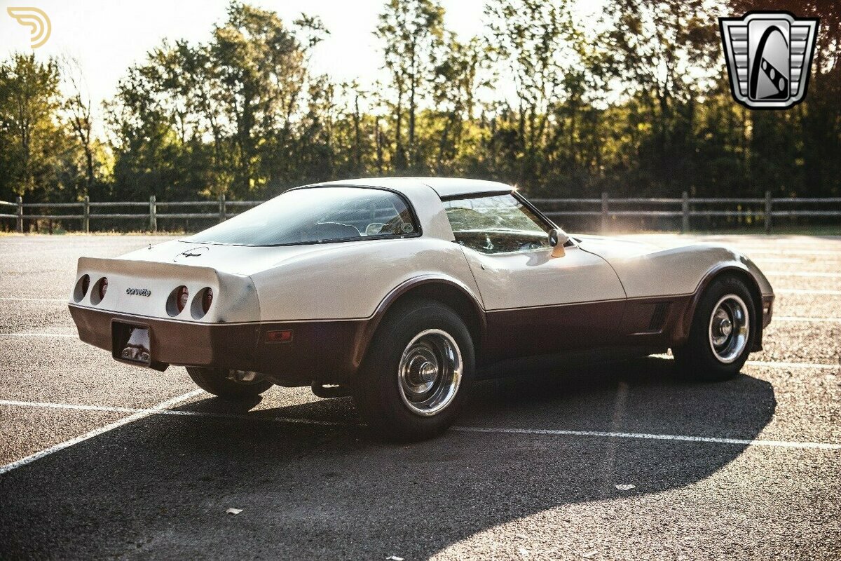 1981 Chevrolet Corvette, foto 6