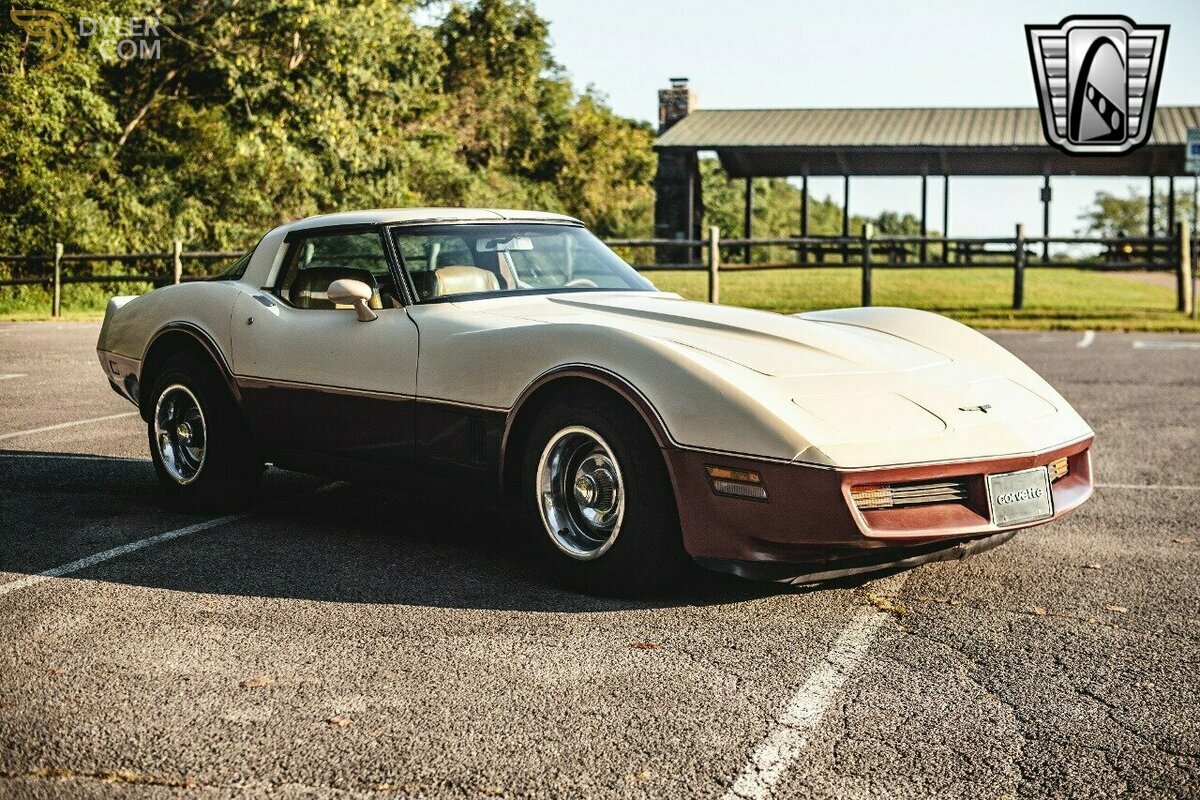 1981 Chevrolet Corvette, foto 8