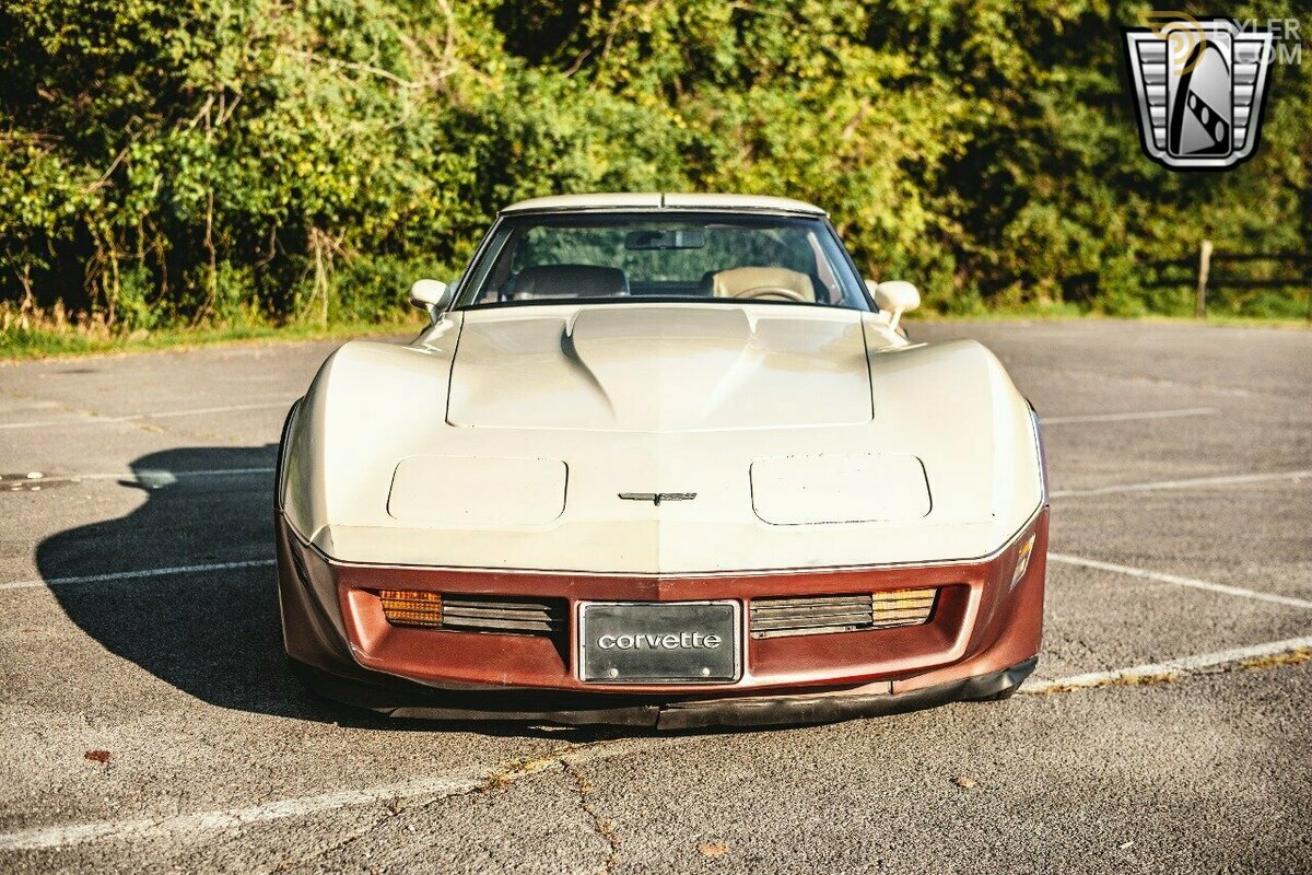 1981 Chevrolet Corvette, foto 9