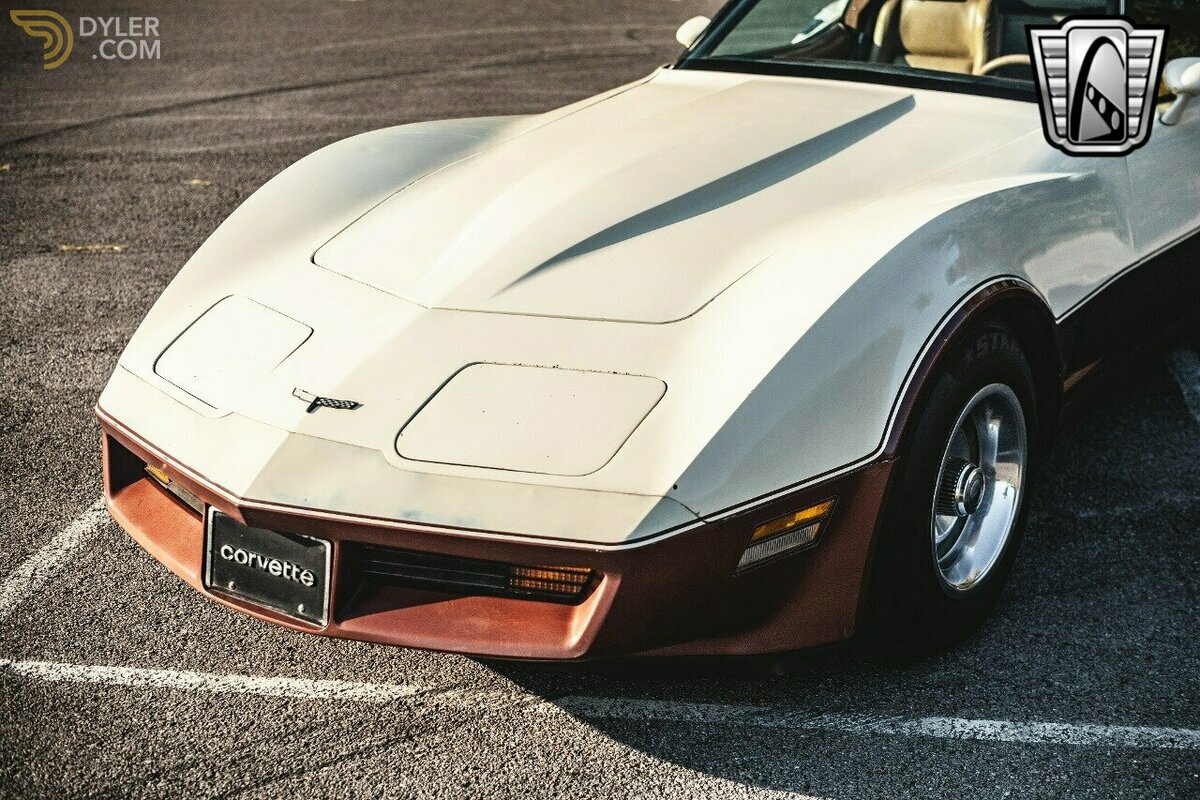 1981 Chevrolet Corvette, foto 10
