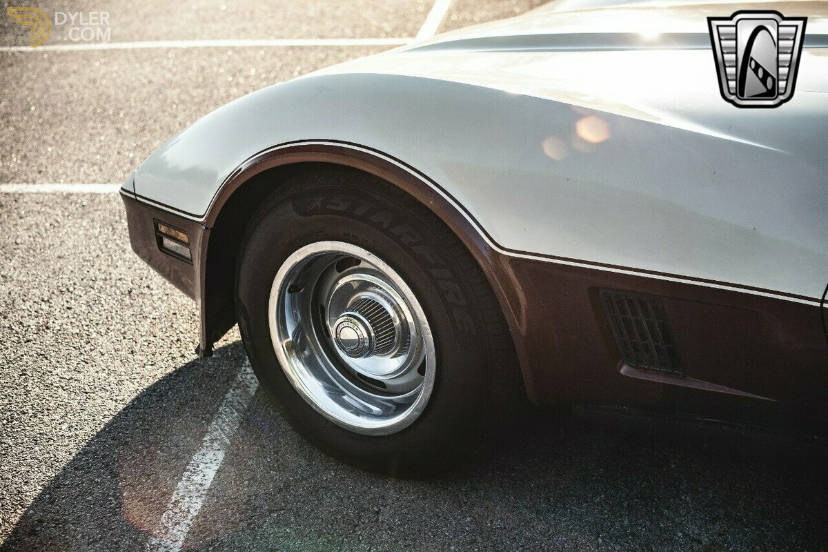 1981 Chevrolet Corvette, foto 12