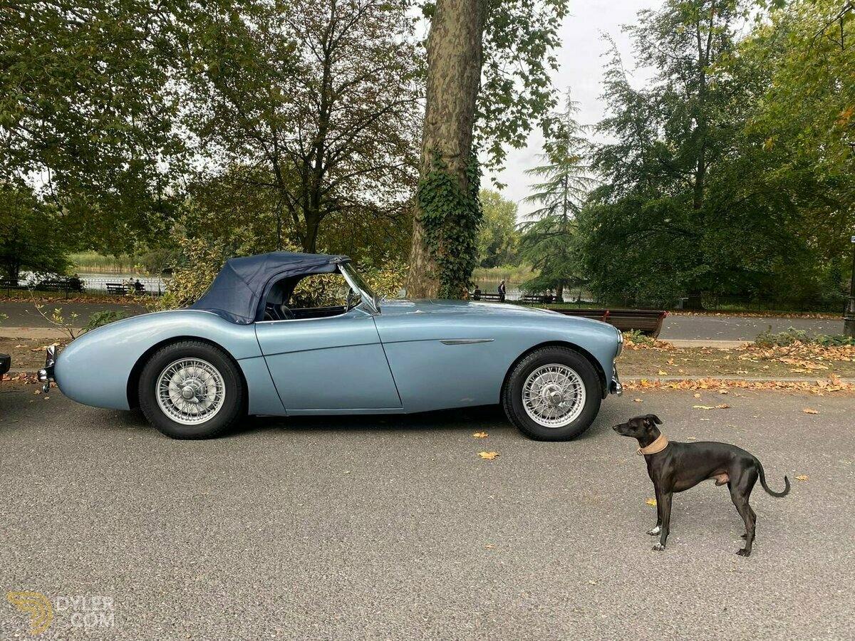 1954 Austin-Healey 100 -4 BN1, foto 2