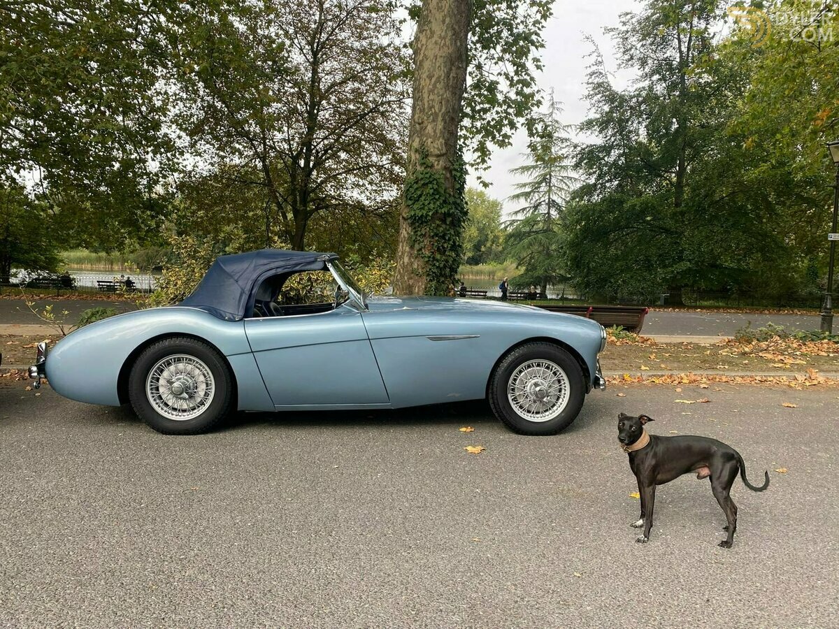 1954 Austin-Healey 100 -4 BN1, foto 6