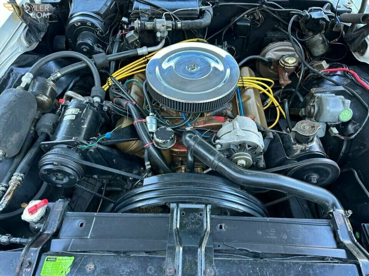 1965 Oldsmobile 98 Automatic, Triple White, foto 3