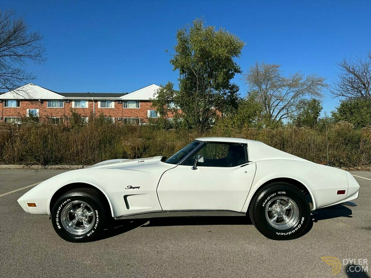 1976 Chevrolet Corvette, foto 8