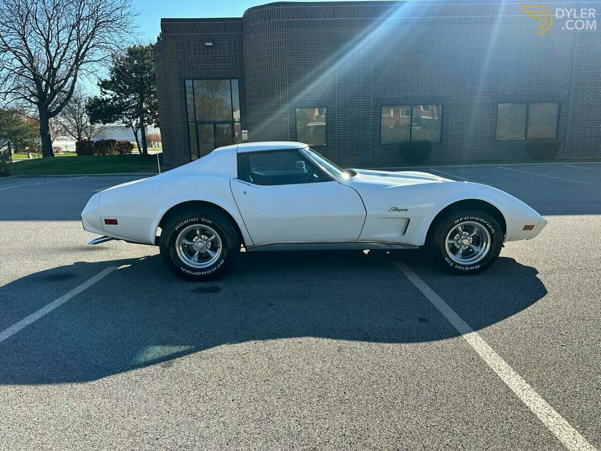 1976 Chevrolet Corvette, foto 9