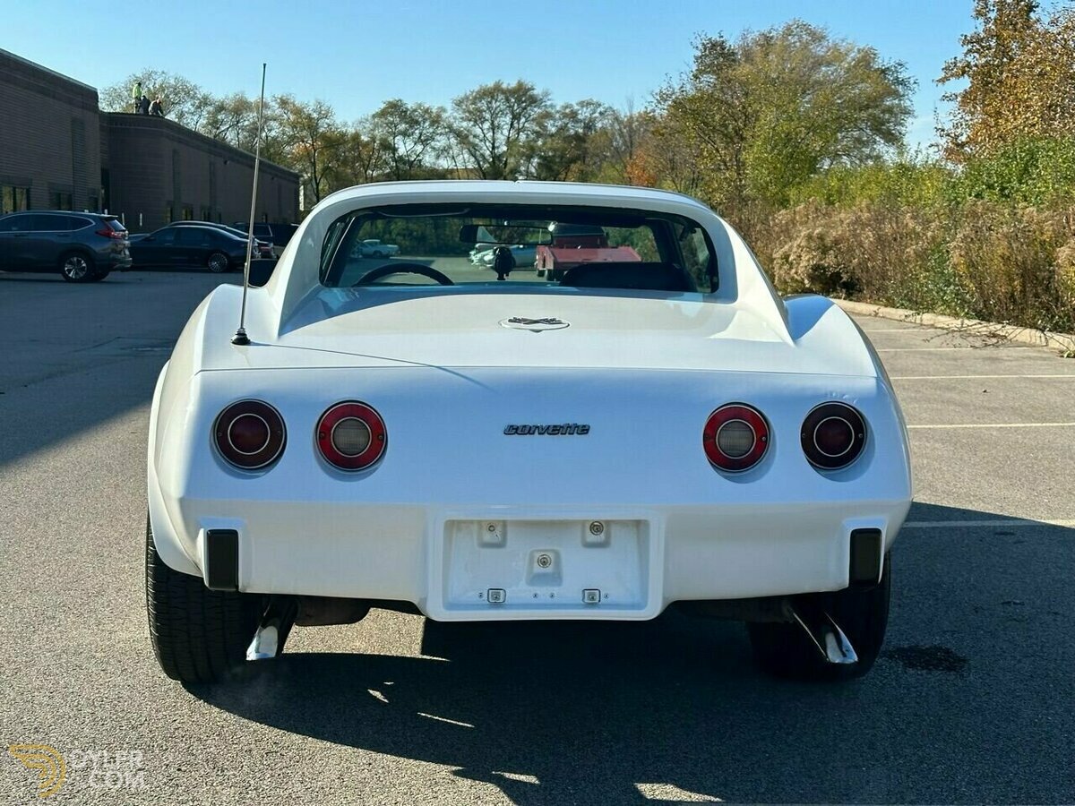 1976 Chevrolet Corvette, foto 12