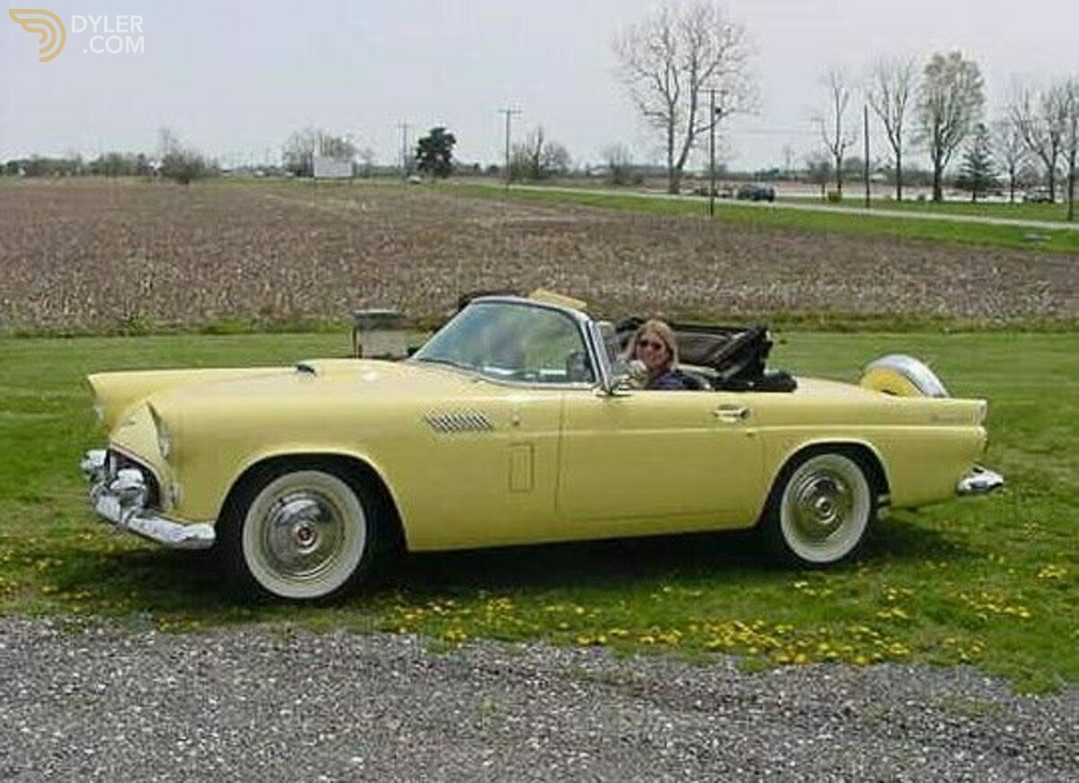 1956 Ford Thunderbird, foto 2
