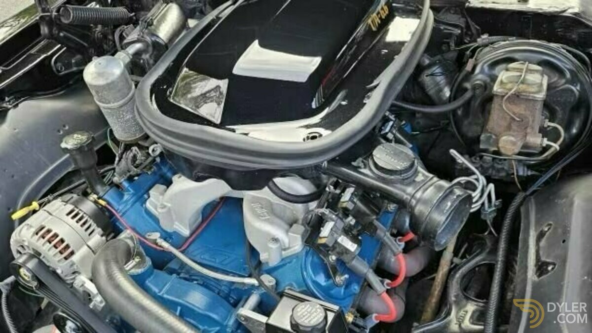 1977 Pontiac Firebird Trans Am WS4 HOLLEY FUEL INJECTED 6.6 LITER NICE PAINT!!, foto 5