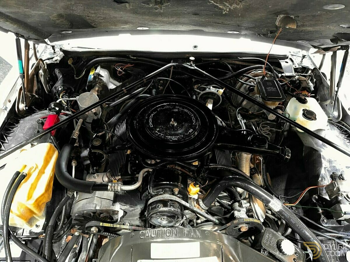 1985 Cadillac Eldorado TRIPLE WHITE ONLY 78K MILES CONVERTIBLE!!, foto 8